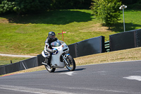 cadwell-park;cadwell-park-photographs;cadwell-trackday-photographs;enduro-digital-images;event-digital-images;eventdigitalimages;peter-wileman-photography;racing-digital-images;trackday-digital-images;trackday-photos